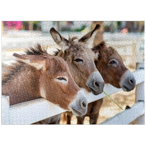 Three Donkeys On The Farm - Premium 1000 Piece Jigsaw Puzzle