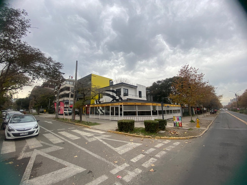 Local /estudio 9 M2 + 90 M2 Terraza Panoramica