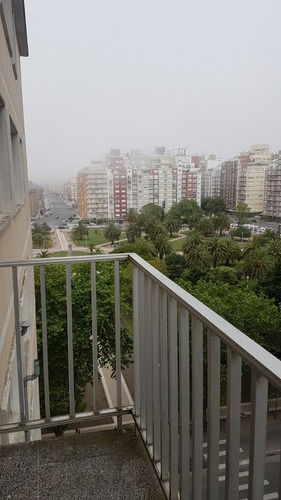 Imagen 11 de 30 de Mar Del Plata. Alquiler Temporario