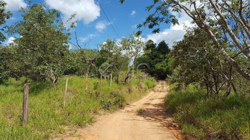 Imagem 8 de 10 de Chácara À Venda Em Joaquim Egídio - Ch005289