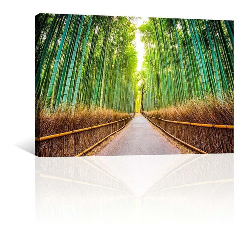 Cuadro Decorativo Naturaleza Canvas Lienzo Bamboo Bosque