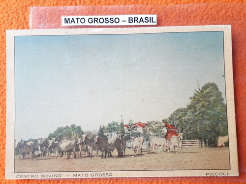 Antigua Postal Centro Bovino Mato Grosso Brasil 