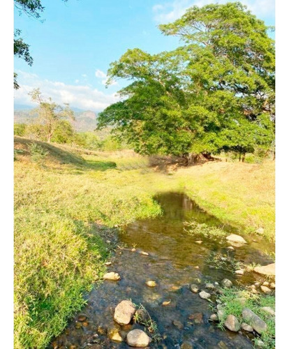 Impresionante Rancho En Manuel Avila Camacho - Tonalá