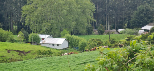 Puerto Octay / Casa Con Hermosa Vista  Al Volcan Osorno