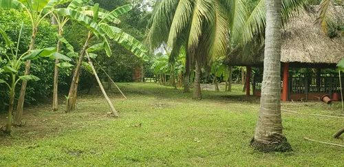 Finca En Venta A 15 Minutos Del Centro De Cerete