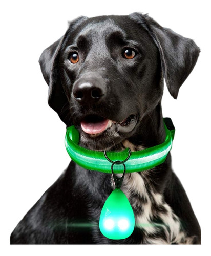 Colgante Luminoso Led Para Mascotas