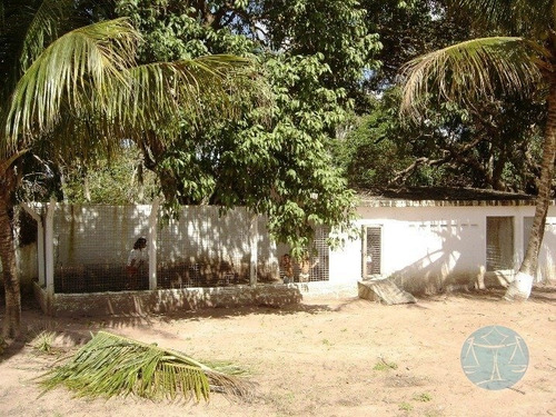 Imagem 9 de 10 de Cod.10414 - Sitio Em Ceara Mirim - V-10414