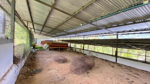 Imagen 11 de 14 de Finca En Palo Grande San Cristobal