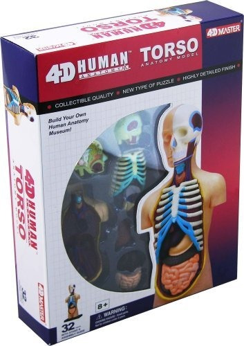 Juego Educativo De Cienci 4d Vision Anatomía Humana Modelo T