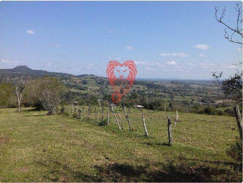 Chácara À Venda, 60000 M² Por R$ 390.000,00 - Morungava - Gravataí/rs - Ch0010