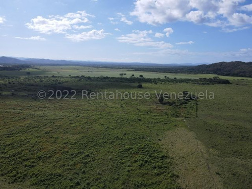 Finca En Venta Sabana De Parra Yaracuy Rah 23-14891 // Invierta Seguro Con Rentahouse//