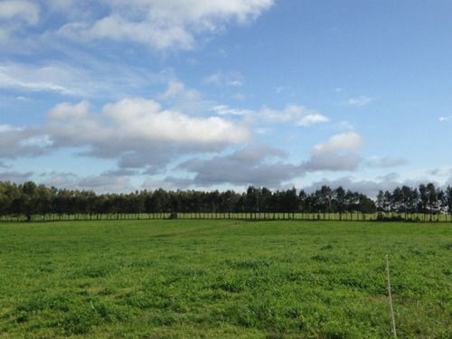Campo En Maldonado Ref. 4536