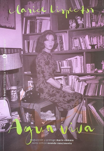 Felicidad Clandestina - Clarice Lispector - Corregidor