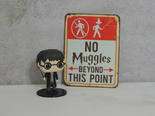 Chapa No Muggles Beyond This Point - Harry Potter 15x20