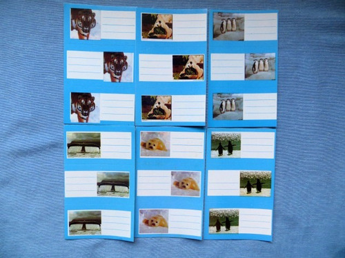 Etiquetas Autoadhesivas Para Cuadernos Escolares Fauna X 18u