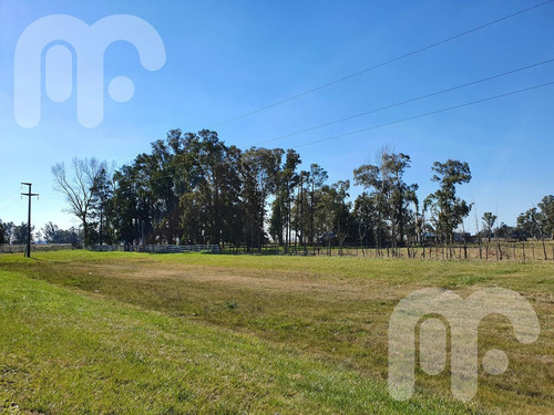Imagen 8 de 26 de Venta Fracción- Ruta 2