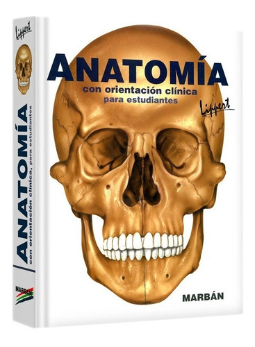 Anatomía Con Orientación Clínica Para Estudiantes Lippert