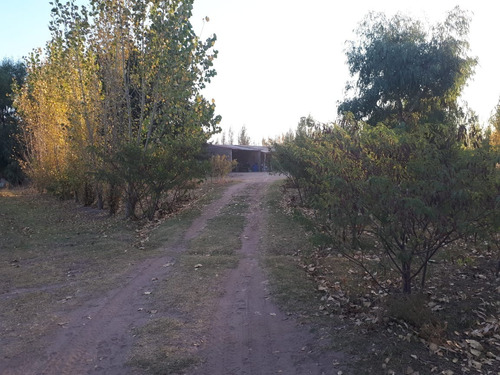 Imagen 7 de 17 de Vendo Campo De 300ha, San Rafael, Mendoza