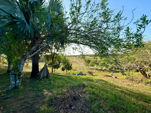Finca Totalmente Productiva
