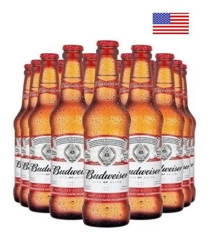 Promo Cerveza Budweiser Botella 355ml X24 Unidades X Funda