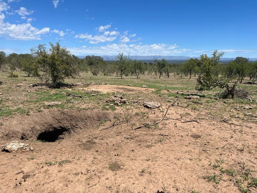 Venta Campo Villa Quillinzo (40 Hectareas) Ideal Para Loteo
