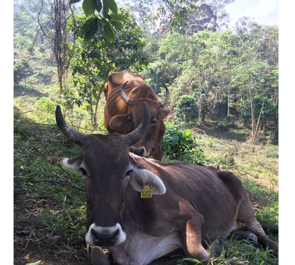 Precioso Rancho En Venta Oportunidad Para Inversionista Interesado En Actividad Agrícola O Ganadería.