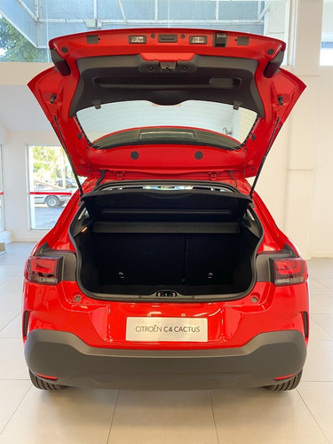 Imagen 7 de 11 de C4 Cactus Vti 115 Feel Am22