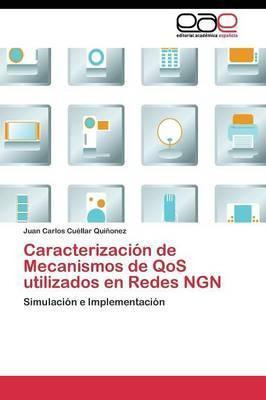 Libro Caracterizaci N De Mecanismos De Qos Utilizados En ...