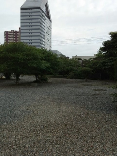 Imagem 3 de 8 de Terreno - Ak00029 - 2440258