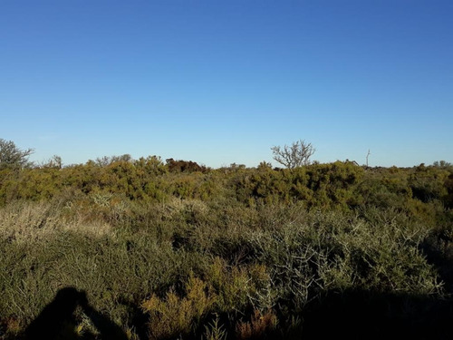 Campo En Venta 2113 Ha. En Villa De María De Río Seco - Cordoba