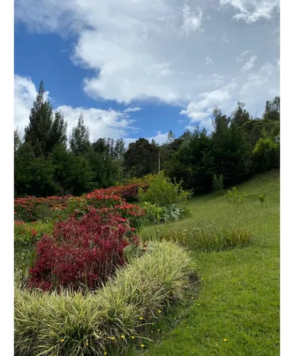 Venta De Encantadora Casa Campestre En Oriente - Don Diego (el Retiro)
