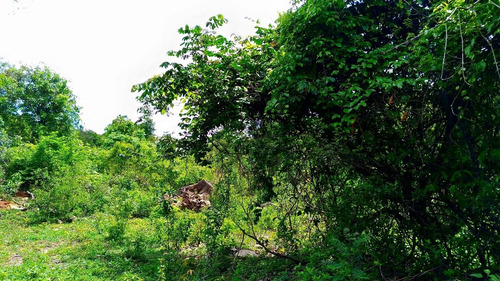 Imagem 7 de 11 de Chacara - Zona Rural - Ref: 955 - V-955