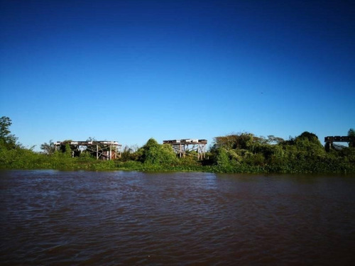 Imagen 13 de 29 de Campo De Isla Ganadero, 2.000 Has Sobre El Paranacito