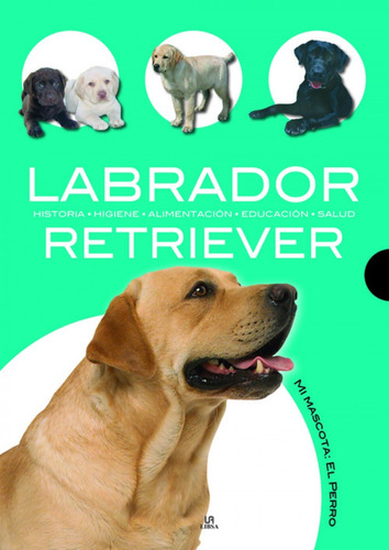 Labrador Retriever / Javier Villahizan
