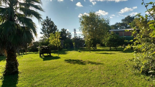 Imagen 3 de 14 de Venicolon !!!casa Amplia Para /5 Con Muchos Espacios Verdes