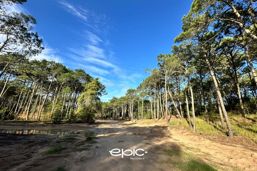 Terreno En Venta, Los Enebros, Cariló