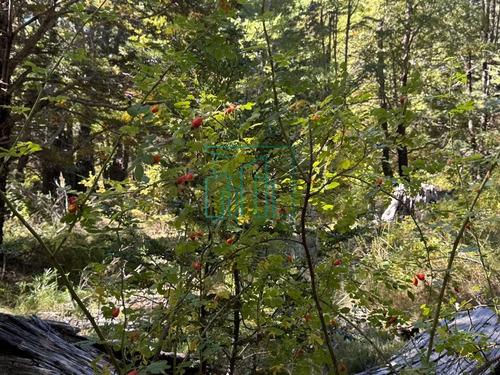 2,6 Ha Palguin Alto - Pucon