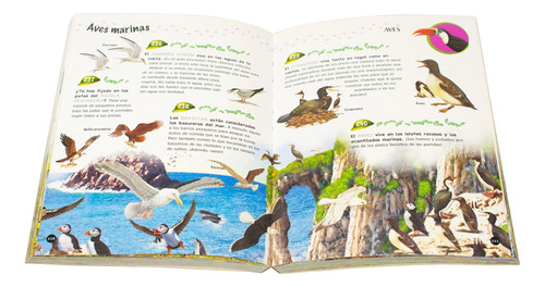 Libro 500 Preguntas Y Respuestas Sobre Los Anima