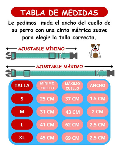 Collar Para Perro Personalizable Con Su Nombre Y Teléfono
