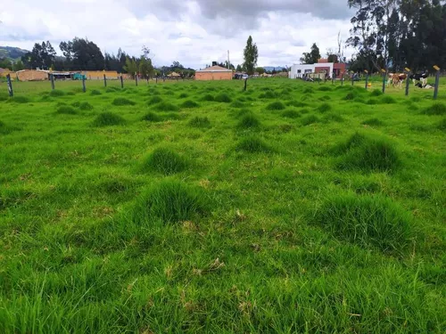 Vende Lote Ubaté - Cundinamarca
