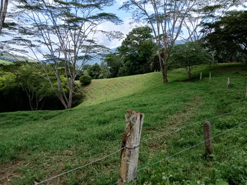 Vendo Finca Ganadera En Restrepo Valle