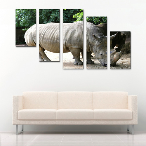 Cuadro Decorativo Para Recamara, Sala, Rinoceronte Animales