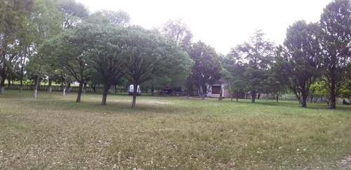 Imagen 9 de 10 de Venta De Quinta - Zona Fcio. Varela, Pasaje La Carolina