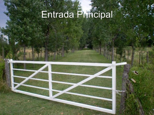 Imagen 4 de 15 de Venta Terreno - Marcos Paz