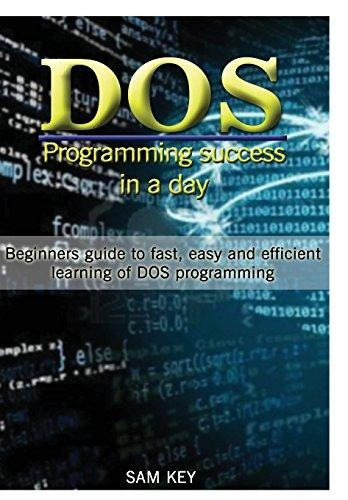 Dos De Programación De Éxito En Un Día