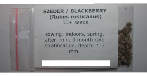 Mora Sin Espinas Rubus Rusticanus 50 Semillas Imp De Hungría