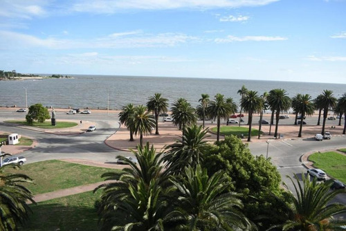 Imagen 3 de 15 de Gran Vista Panoramica