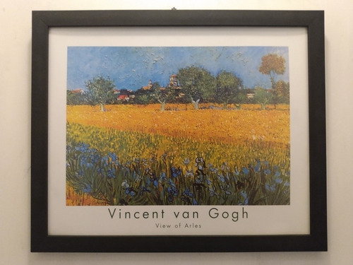 Van Gogh _ Paisaje Con Lirios En Arles  _ Litografía Enmarca