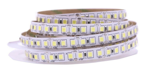 Tira Led 4040 Interior Rollo 5 Metros Fria/calida 