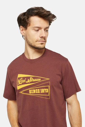 Remera Hombre Relaxed Tee Graphic Rodeo Arc